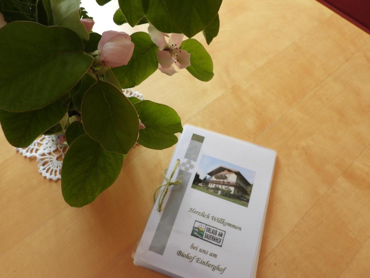 Bio-Bauernhof Einberghof Apartment Пфарверфен Екстериор снимка