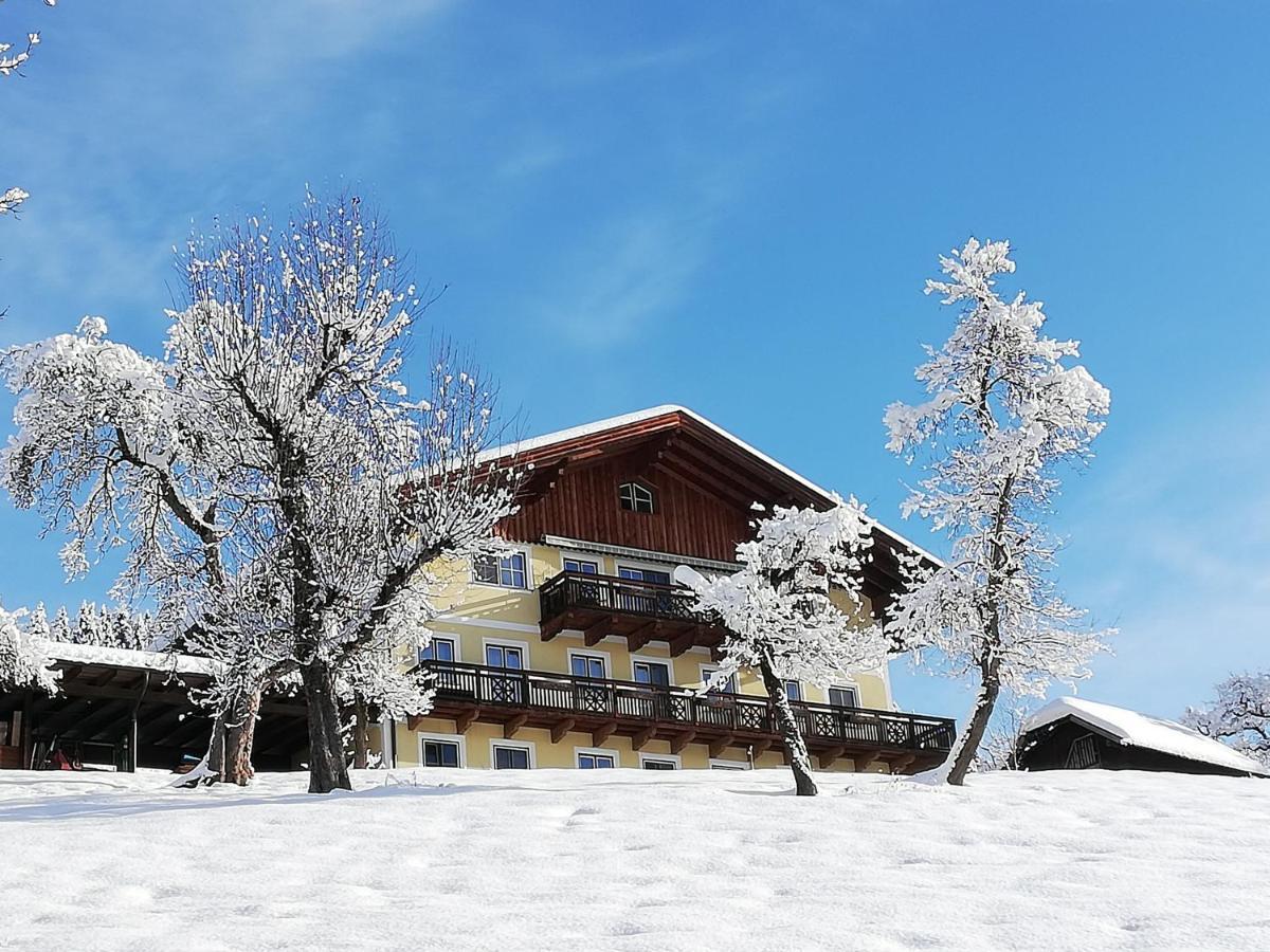 Bio-Bauernhof Einberghof Apartment Пфарверфен Екстериор снимка