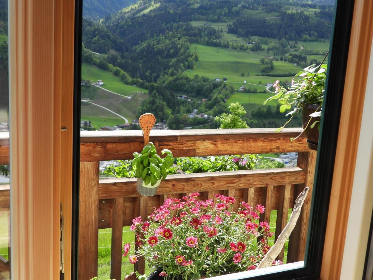 Bio-Bauernhof Einberghof Apartment Пфарверфен Екстериор снимка