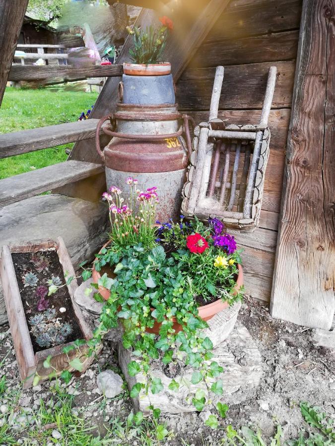 Bio-Bauernhof Einberghof Apartment Пфарверфен Екстериор снимка