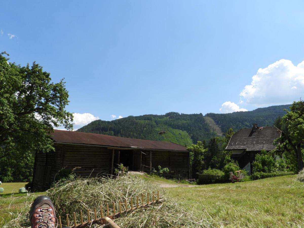Bio-Bauernhof Einberghof Apartment Пфарверфен Екстериор снимка