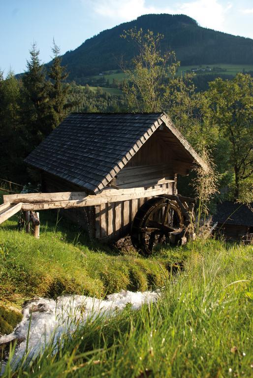 Bio-Bauernhof Einberghof Apartment Пфарверфен Екстериор снимка